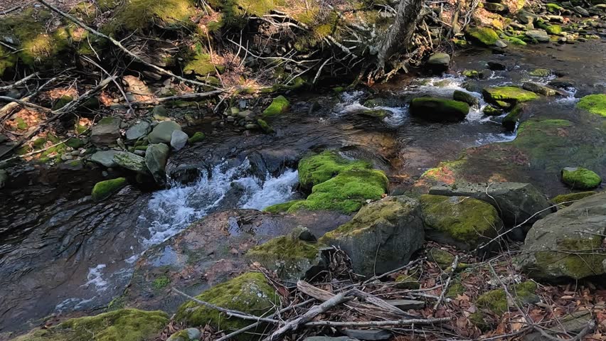 4K static shot of clear mountain water rushing over stones covered in vibrant green moss. Filmed at West Kill Creek in the Catskill Mountains, New York during spring.