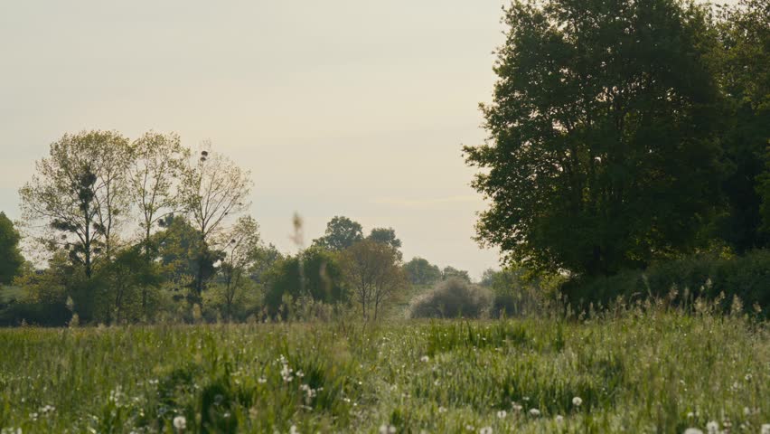 Peaceful countryside landscape with fields and natural scenery