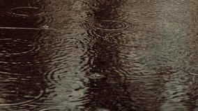 Raindrops Falling Into Dark Water Surface Creating Concentric Ripples, Abstract Nature Background With Rainy Day Texture, Calm Water Motion, Fluid Dynamics Close Up, Wet Weather Atmosphere, Peaceful Water Surface, Droplet Impact, Water Waves,  - Powered by Shutterstock - Get 15% off with code: PIKWIZARD15
