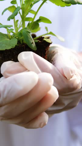 Happy female scientist holding pot plant in greenhouse