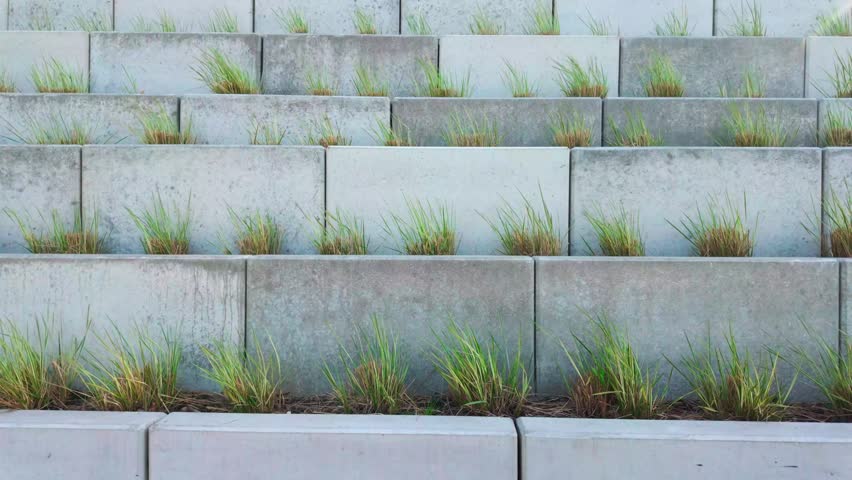 Concrete planters with ornamental grasses arranged in terraced steps plaza.