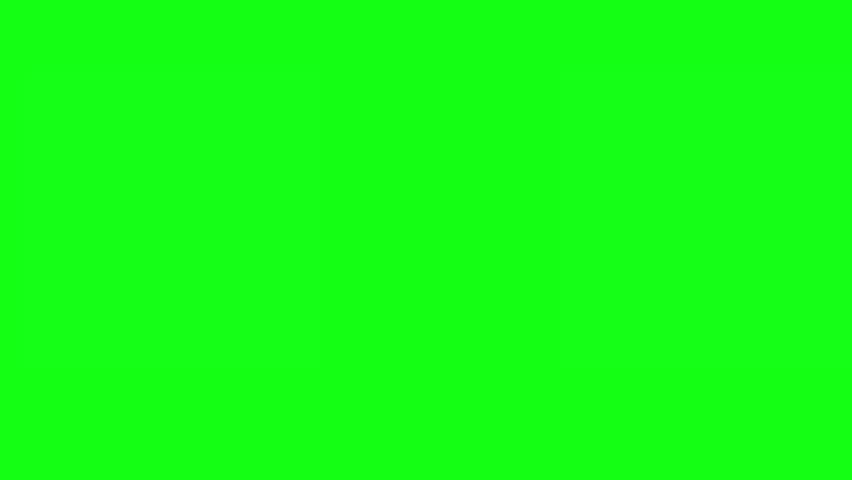 Cartoon illustration featuring a cute white polar bear head a mitten icon and holly leaves on a bright green background for chroma keying