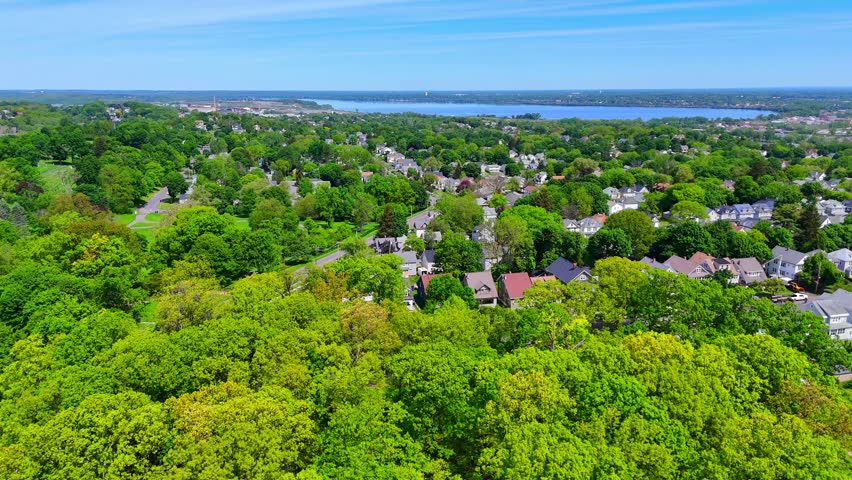 Descending down amongst a stalk of trees while panning the view to continue showcasing the scenic landscape of the surrounding area.