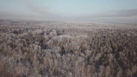 Aerial View Frozen Forest Winter