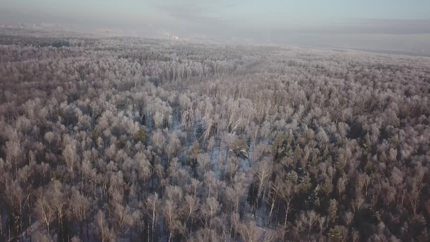 Drone circling above snowy forest