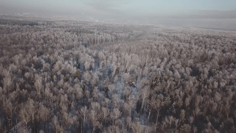 Drone Circling above Snowy Forest
