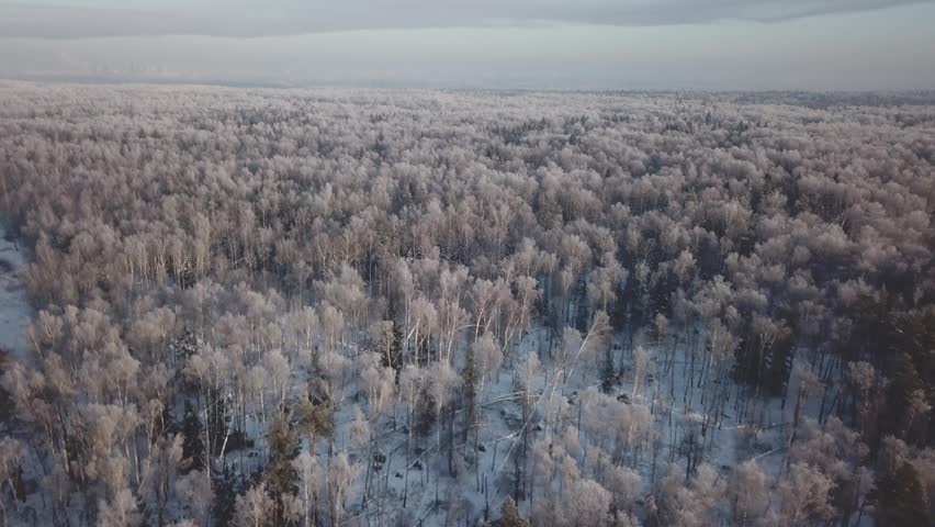 Drone flying forward and upward over snowy forest