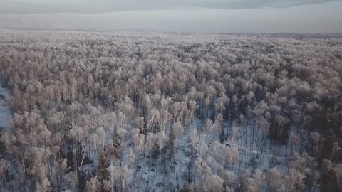 Drone Flying Forward Upward over Snowy Forest