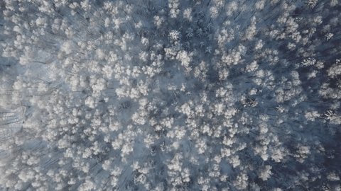 Aerial Forward Flight Downward Camera Angle over
