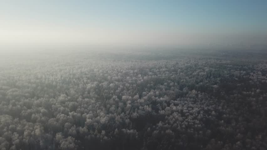 Drone flying forward and downward over snowy forest