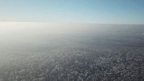 Drone Flying Forward Upward High above Forest