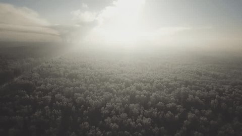 Drone Lifts Off above Snowy Winter Forest