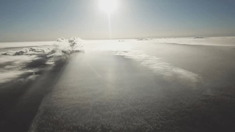 Drone Gliding across Snowy Forest