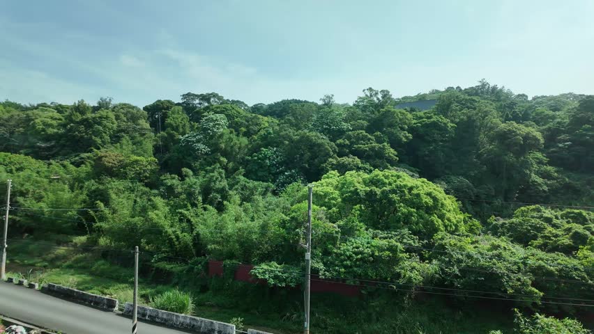 Dense green foliage and tropical trees cover rolling hills overlooking a quiet rural road and industrial buildings under a bright sky.