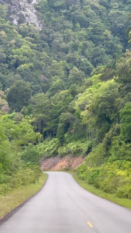 A serene road surrounded by a vibrant green forest with a steep hill.
