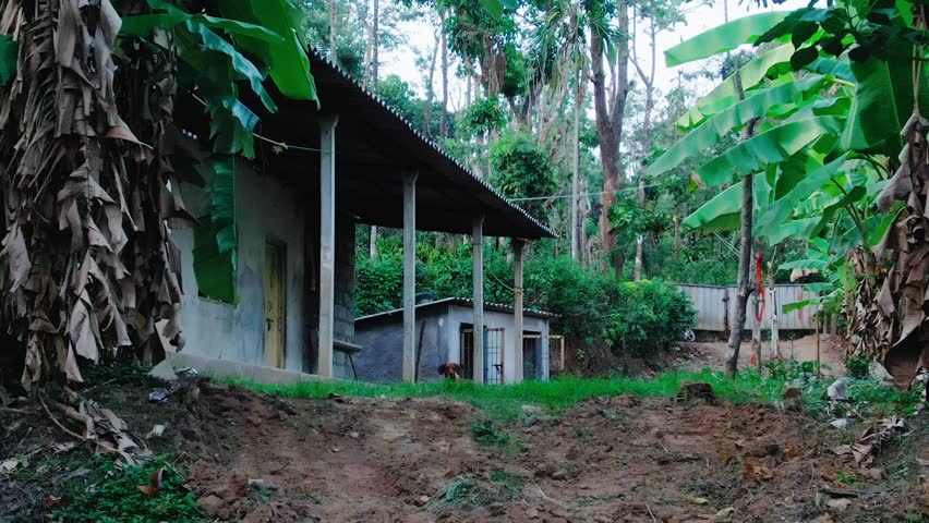 Aerial shot of house in the Farm