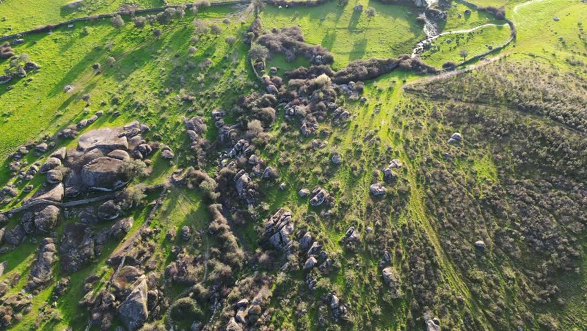 Drone aerial view of rural farmland divided by traditional stone walls, with green fields, grazing land and long shadows at sunset.