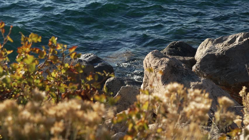 Lake Tahoe Shoreline with Waves Crashing and Fall Vegetation