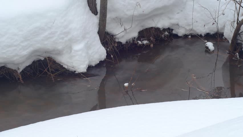 A small river in a hollow among the snow. A winter view of a forest stream contaminated with soil containing high levels of iron.