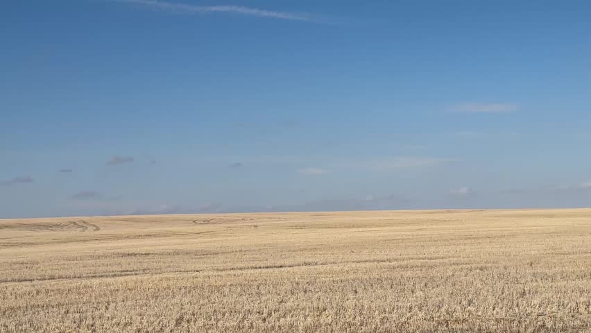 Wide View of Prairie Farmland and Agricultural Fields