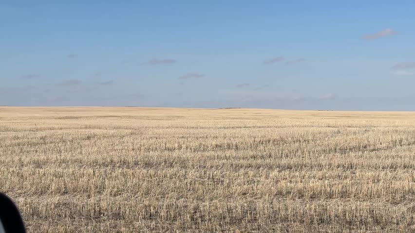 Wide View of Prairie Farmland and Agricultural Fields