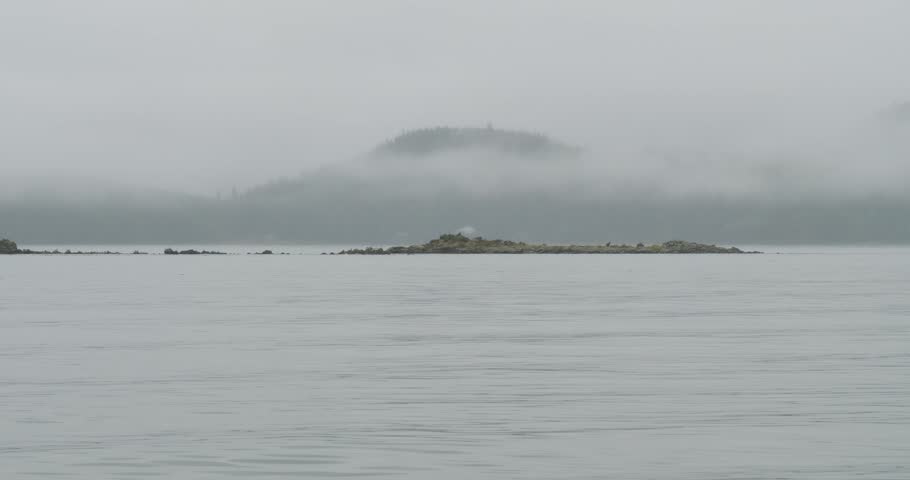 Foggy day in Alaska.Humpback whale surfacing to breathe behind a small rocky island.