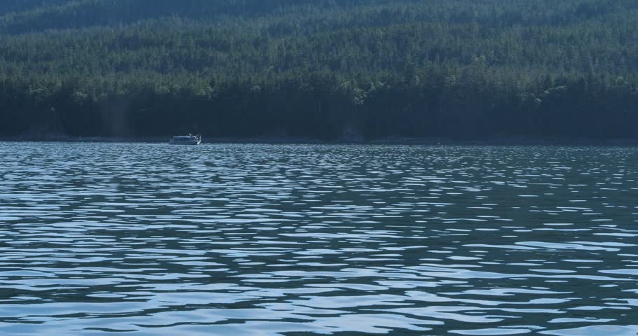 Sunny summer day in Alaska.Whale Watching in Juneau, Alaska.