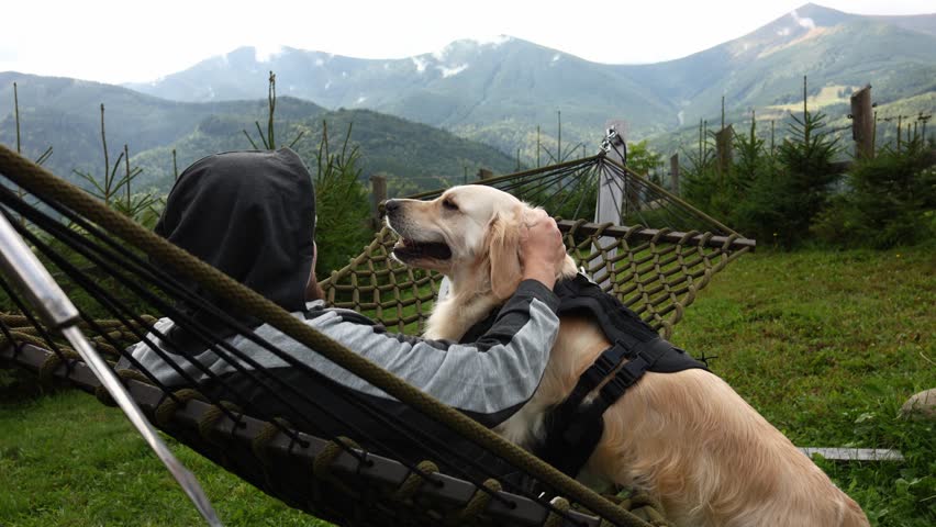 In the Carpathian Mountains, a man relaxes on a hammock with his golden retriever. They share a joyful moment surrounded by green trees and mountains in the background.