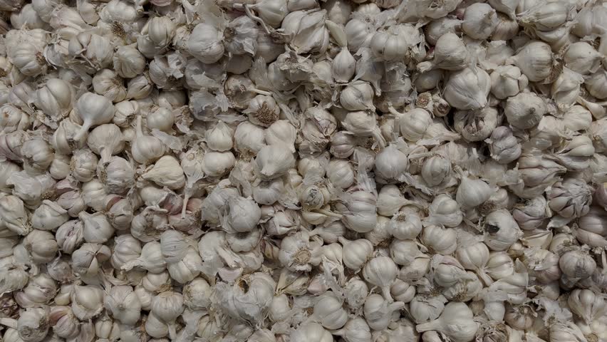 Garlic is being sold in the market.