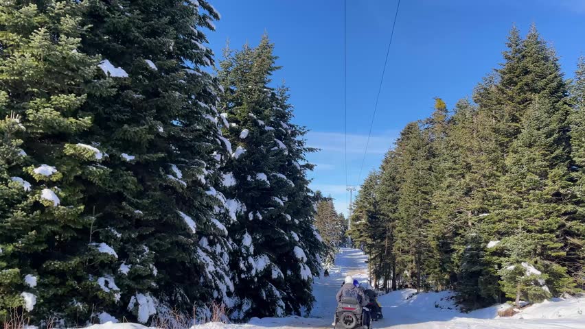Snowmobiles ride through snowy forest trail with tall pine trees under clear blue sky, winter adventure in mountain landscape