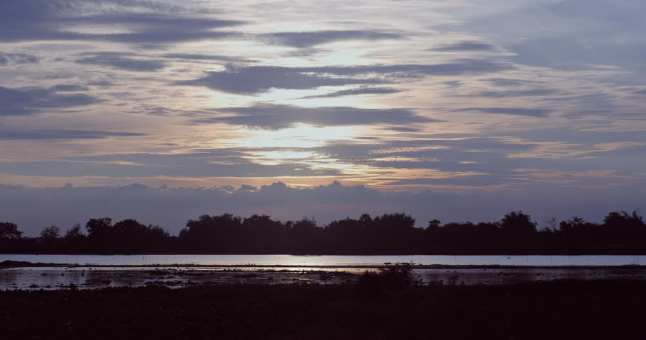 Zoom out of a serene sunset over wetlands featuring silhouetted trees and horizontal clouds.