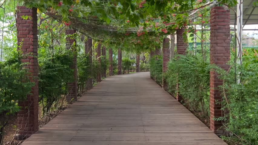 Beautiful wooden walkway path under lush green vine trellis with brick pillars in a garden