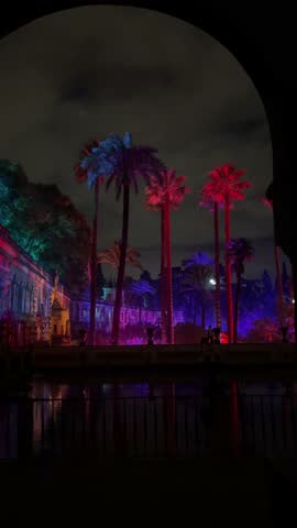 Atmospheric nighttime scene featuring illuminated palm trees glowing in vibrant red, purple, and blue neon lights beside reflective water and historic architecture. Dreamlike cinematic footage with tropical vibes, moody lighting, and surreal colors. Ideal for luxury travel visuals, music videos, ambient backgrounds, nightlife edits, futuristic aesthetics, and artistic storytelling.