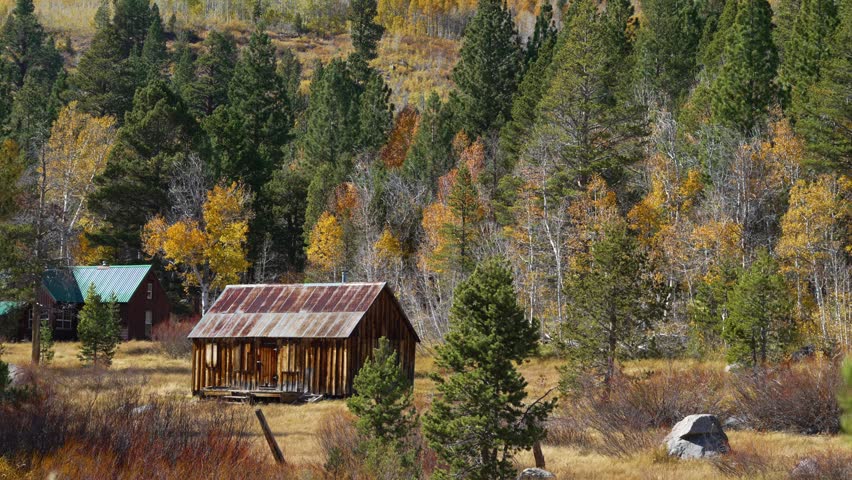 Wooden cabin in fall landscape with golden foliage and pine trees