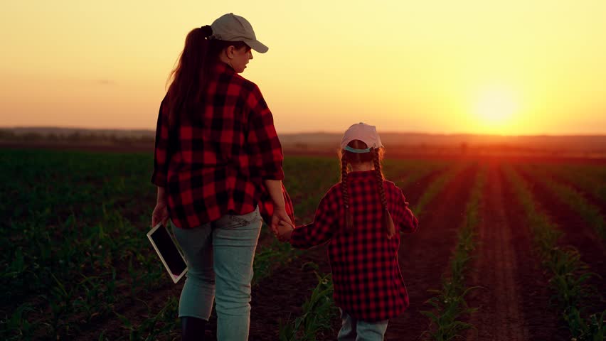 Farmer mom young daughter work together in green field of seedlings. Family business. Mother, child stroll hand in hand through plantation. Businesswoman mom kid inspect field seedlings. Child rearing