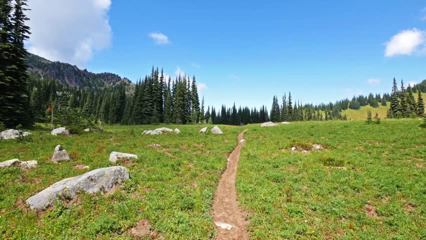 Footage of a narrow dirt hiking trail winding through a vibrant green alpine meadow dotted with large rocks and surrounded by dense evergreen forests.