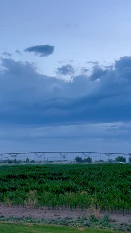 Storm coming in over a corn field