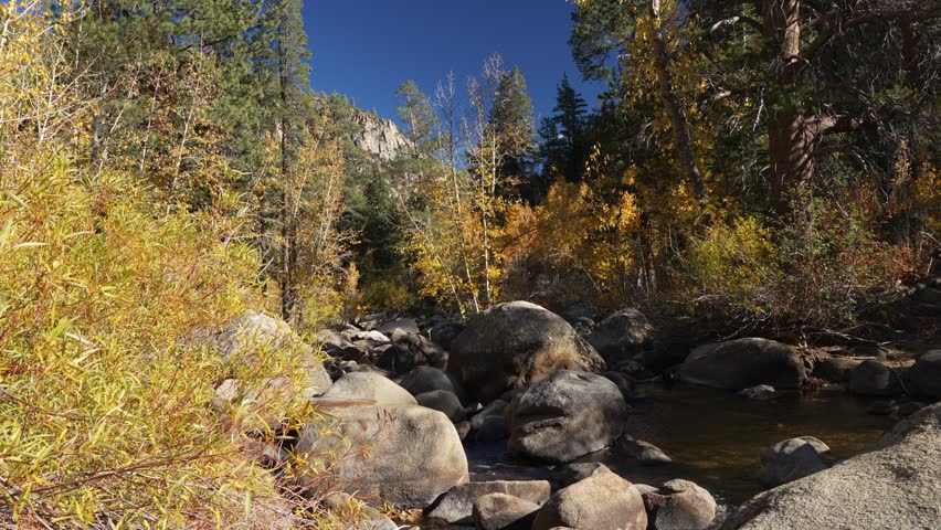 Peaceful forest stream with rocks and autumn landscape in alpine setting
