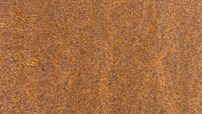 Close-up rusty steel sheet texture, granular orange-brown patina with heavy corrosion and flaking, rough grain and speckled surface - Powered by Shutterstock - Get 15% off with code: PIKWIZARD15