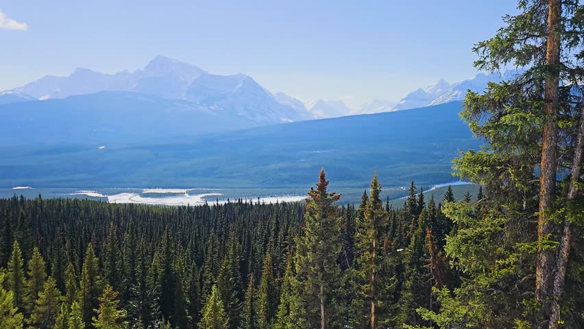Jasper National Park style mountain view overlooks dense evergreen forest and winding river channels, with snowy peaks and vast wilderness creating a striking Canadian landscape.