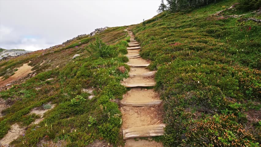 Scenic footage of a dirt hiking trail with wooden steps ascending a lush, green, wildflower-filled slope in the Spray Park area of Mount Rainier National Park, Washington State, USA.