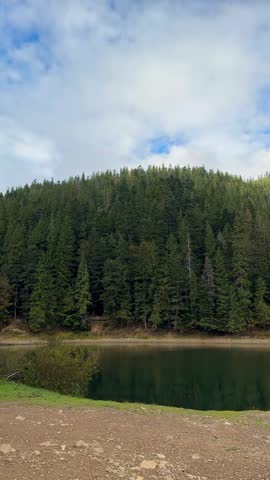 Lake surrounded by dense coniferous forest under cloudy sky