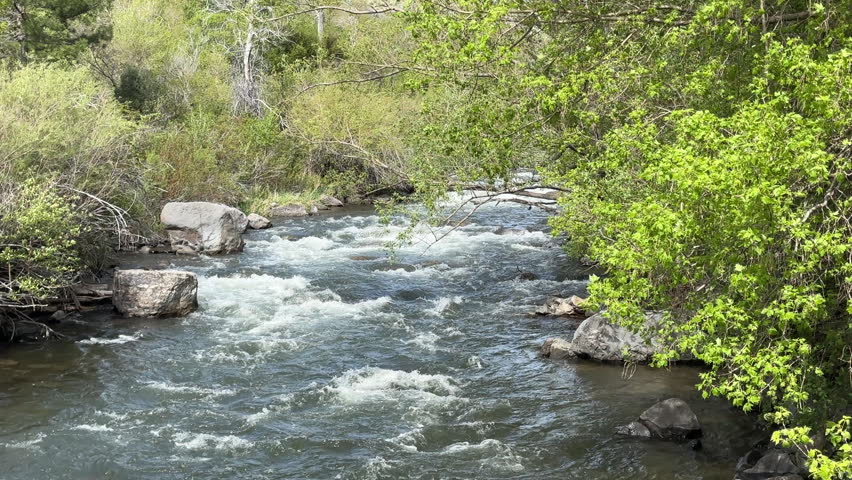 Water flowing in the Provo River in springtime, Provo Utah, USA 