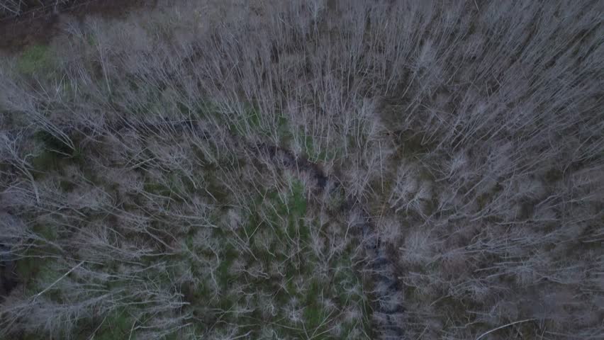 Aerial top View of curved river in leafless Woodland
