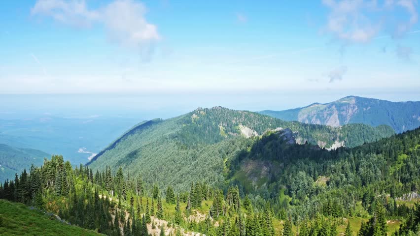 panoramic view of the lush, forested mountain landscape as seen from the Tolmie Peak Trail in Mount Rainier National Park, Washington State, USA. The scene features evergreen trees, rolling hills, and