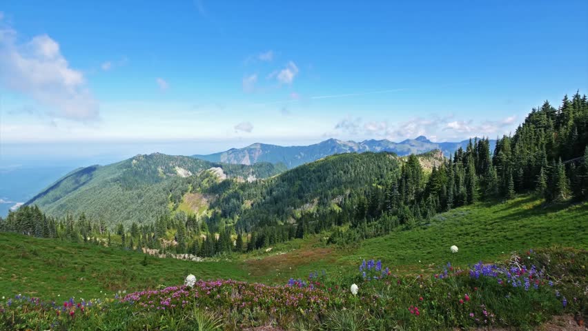 panoramic view of the Cascade mountains and Mowich Lake area from the slopes of the Tolmie Peak Trail in Mount Rainier National Park. Alpine meadows are in bloom with colorful wildflowers under a brig