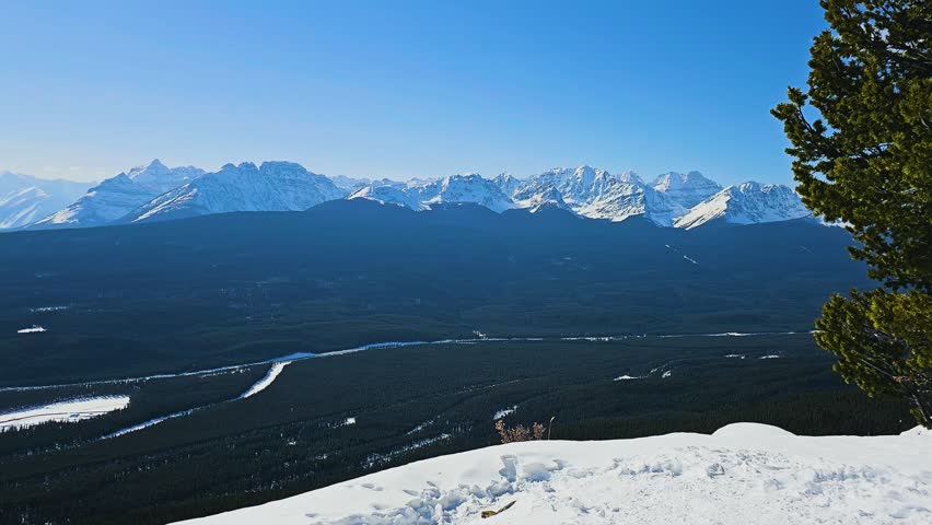 Banff, Canada mountain panorama overlooks dense evergreen forest and winding river channels, capturing iconic Canadian Rockies scenery with snowy peaks, expansive wilderness, and bright daylight.