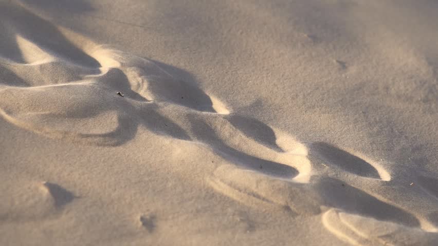 human footprints on dry sand with sharp shadows and light