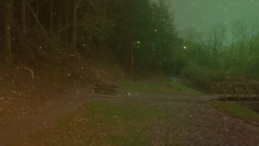 Lit streaks thinning and moving outward, revealing central trail, benches, sapling guiding forward. Woodland, path, clearing, seating, railing, evergreens, misty