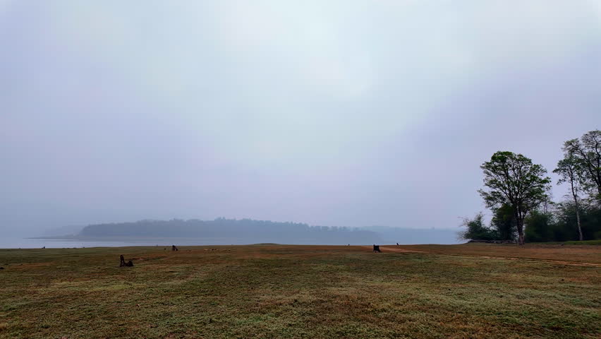 A wide field is shrouded in fog during the early morning. The mist hangs low, creating a soft blur over the landscape and obscuring distant trees by the water.